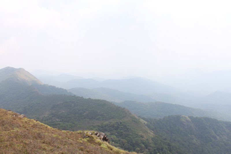 India 2010 - Coorg - Honey Valley - Trek towards Tadiandamol - Ridge Walk